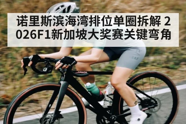 诺里斯滨海湾排位单圈拆解 2026F1新加坡大奖赛关键弯角